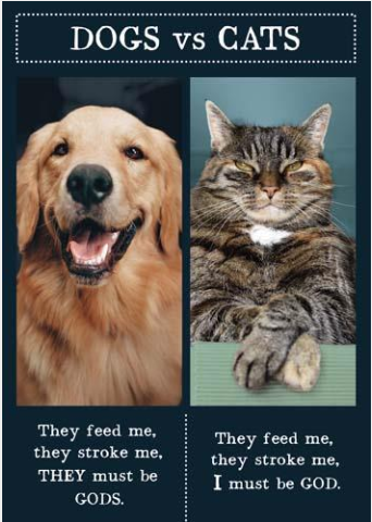 Animal Antics Dogs Vs Cats Card